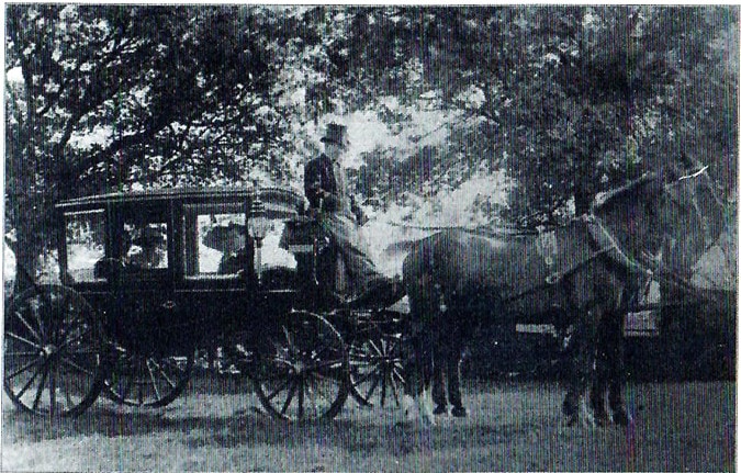Horse and carriage of Wm. Alty & Sons
